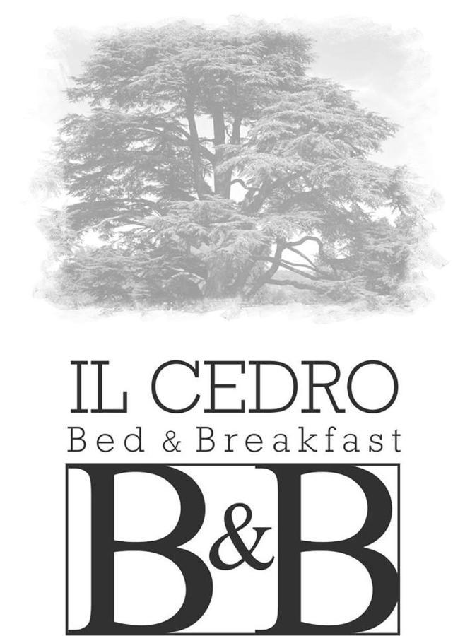 B&B Il Cedro Cava deʼ Tirreni Exteriér fotografie