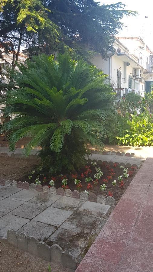 B&B Il Cedro Cava deʼ Tirreni Exteriér fotografie